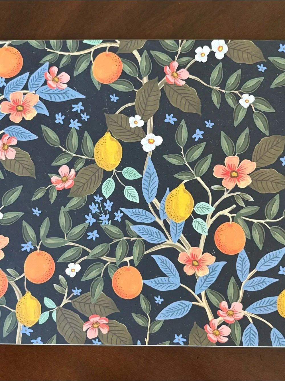 Rifle Paper Co. Citrus Grove Cork Placemats - Lot of 7 | Never Used